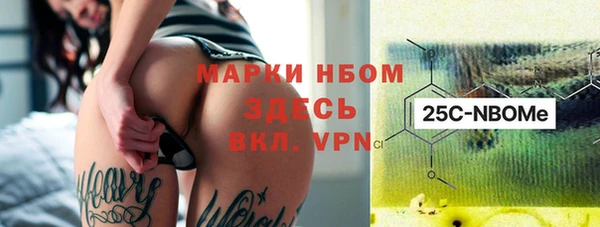 PSILOCYBIN Каменногорск