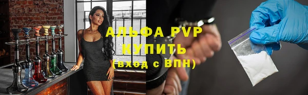 молекула духа Каменка