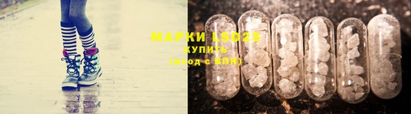 молекула духа Каменка
