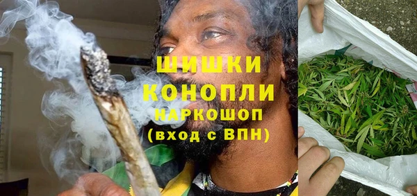 PSILOCYBIN Каменногорск