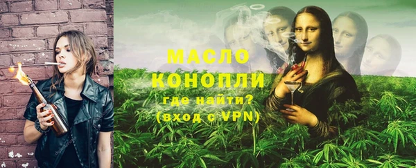 молекула духа Каменка