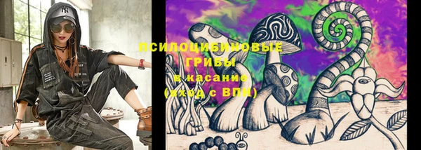 PSILOCYBIN Каменногорск