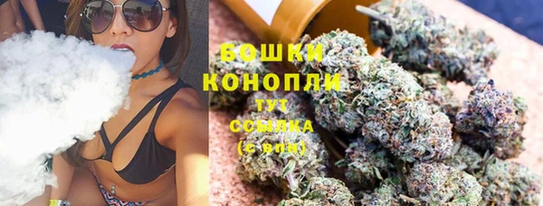 PSILOCYBIN Каменногорск