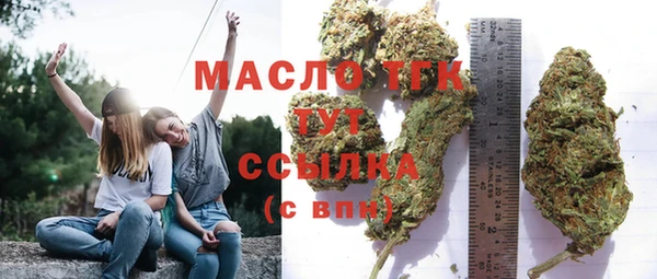 молекула духа Каменка