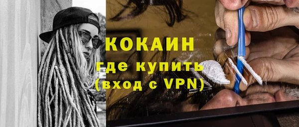 молекула духа Каменка