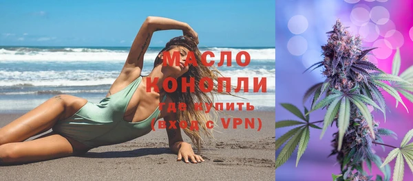 молекула духа Каменка
