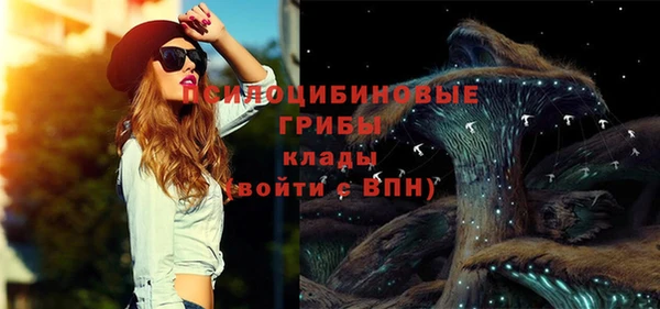молекула духа Каменка