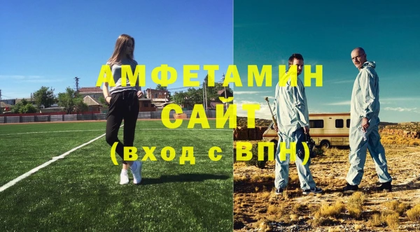 молекула духа Каменка